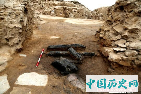 陕西神木石峁遗址集中出土百余片卜骨