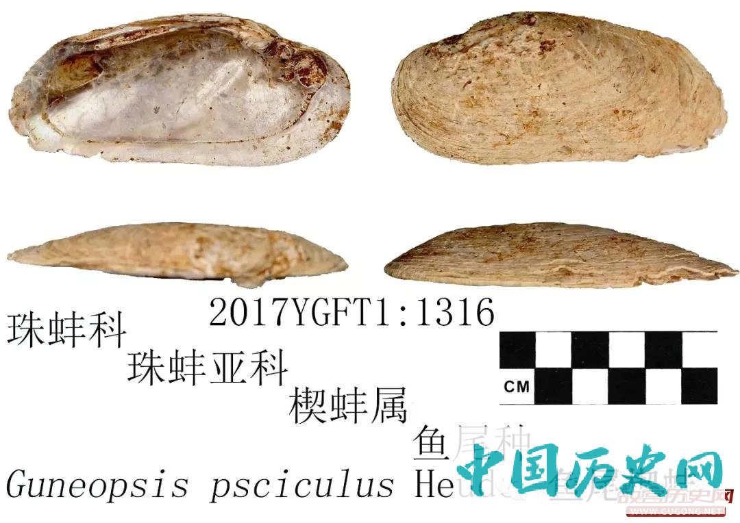 云南耿马佛洞地遗址第一期考古发掘工作顺利结束