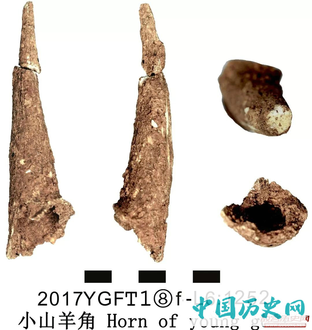 云南耿马佛洞地遗址第一期考古发掘工作顺利结束