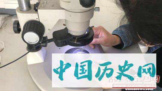 四川凉山地区考古发现新石器时代晚期已有种植业