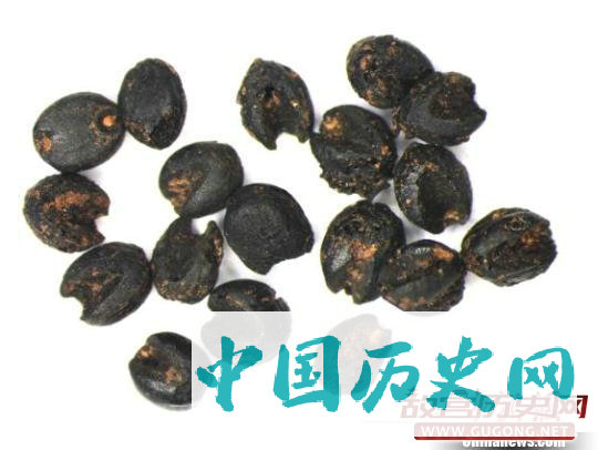 四川凉山地区考古发现新石器时代晚期已有种植业