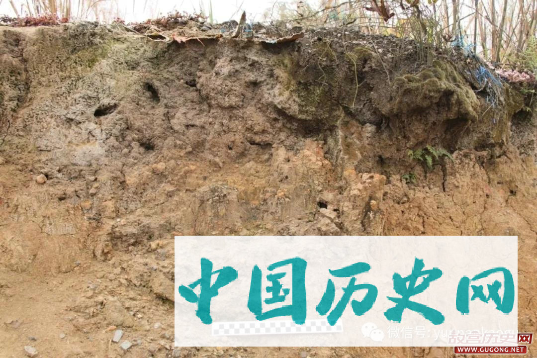 地处中越边境的青铜时代矿冶遗存——金平龙脖河遗址