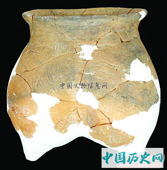 河北肃宁后白寺遗址发现二里头及晚商遗存