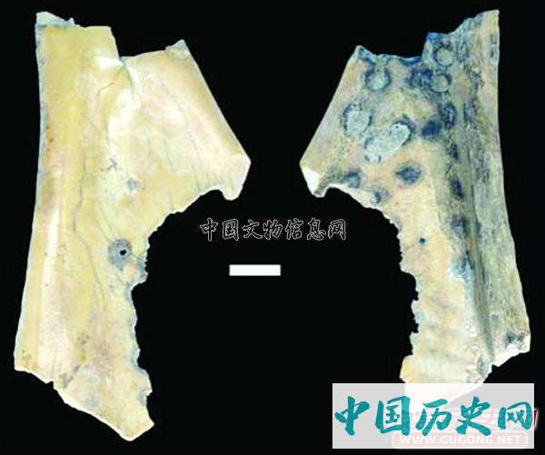 河北肃宁后白寺遗址发现二里头及晚商遗存