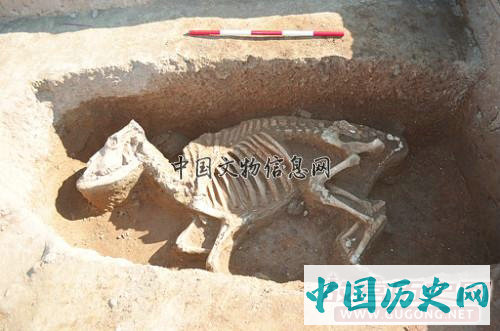河南洛阳东汉帝陵考古调查与发掘取得重要收获