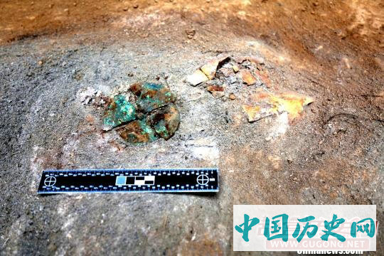 陕西西咸新区秦人墓地“意外”发现卜甲