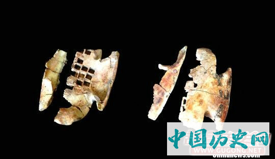 陕西西咸新区秦人墓地“意外”发现卜甲
