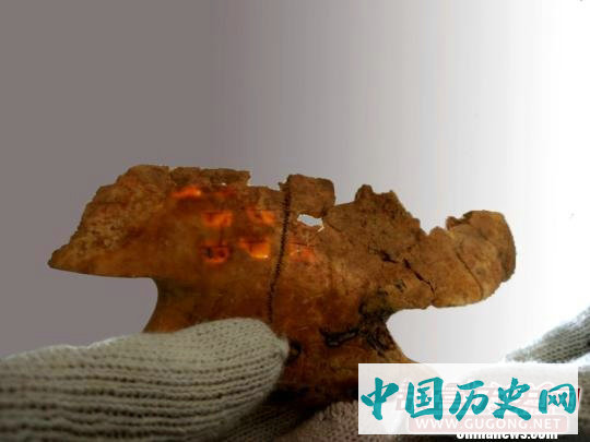 陕西西咸新区秦人墓地“意外”发现卜甲