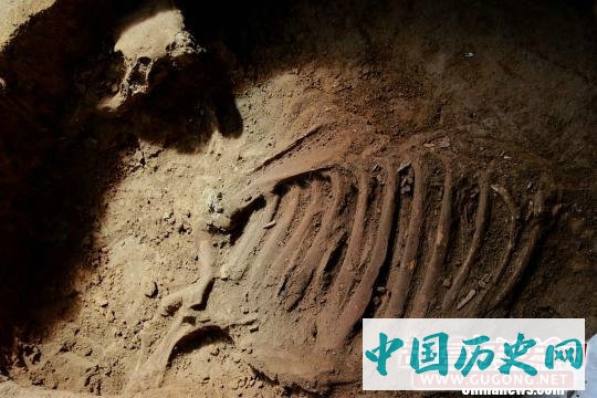 山东章丘东周遗址祭祀坑发现人牲遗存