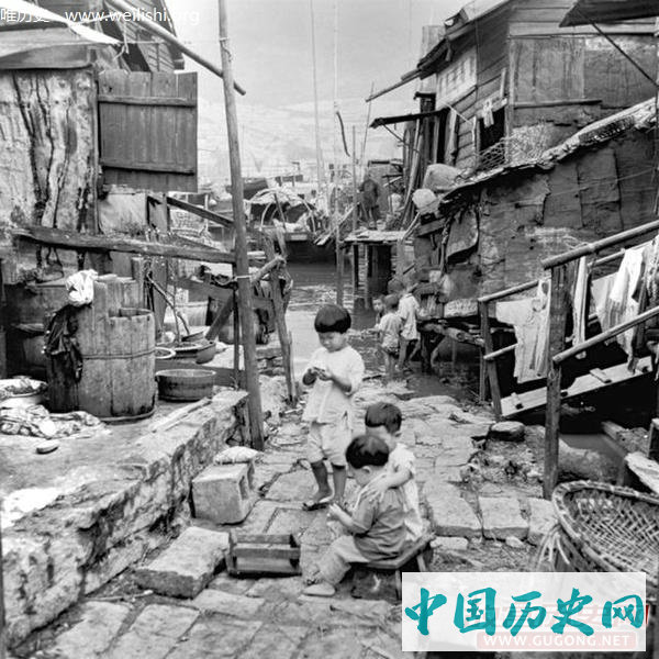 香江老照片：繁华背后的香江渔家 1952年