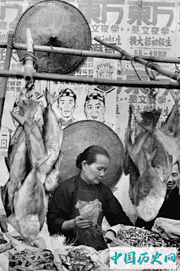 香江老照片：繁华背后的香江渔家 1952年
