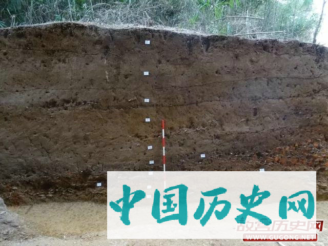 湖南岳州窑考古工作新进展