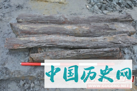 四川成都双元村墓地发现古墓葬260座