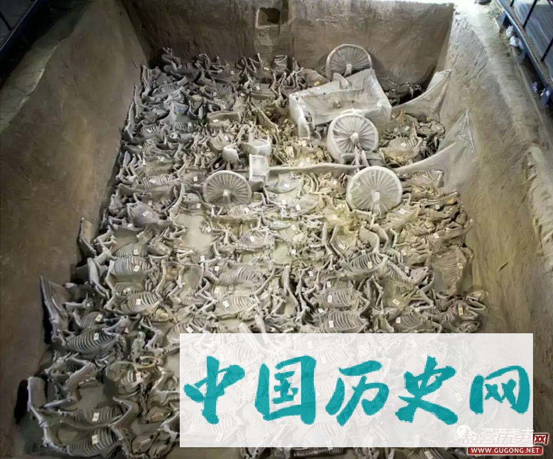 2017年河南省五大考古新发现