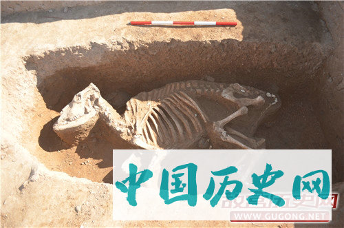 星月不问赶路者，光阴不负有心人—解读“2017年度全国十大考古新发现”