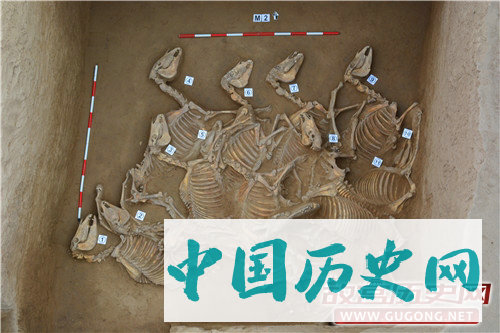 星月不问赶路者，光阴不负有心人—解读“2017年度全国十大考古新发现”