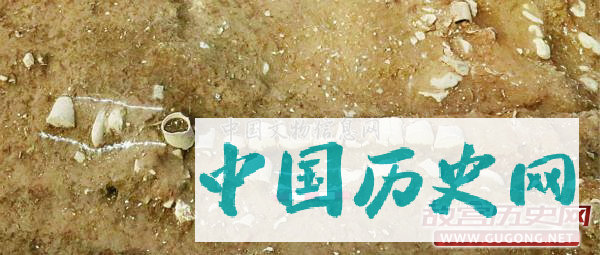 浙江开化龙坦明代窑址发掘取得重要收获