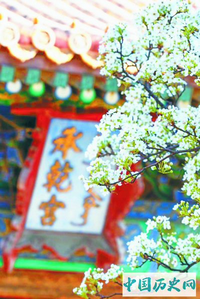 故宫里也有京白梨，深得皇帝喜爱