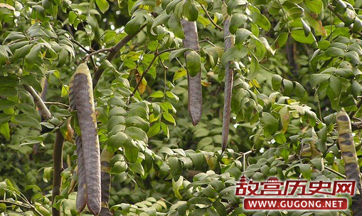 古人到底用什么洗衣洗澡