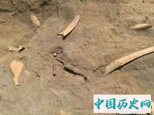 新疆吉木萨尔县北庭故城遗址考古发掘发现唐代文物