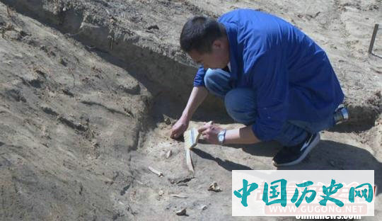 新疆吉木萨尔县北庭故城遗址考古发掘发现唐代文物