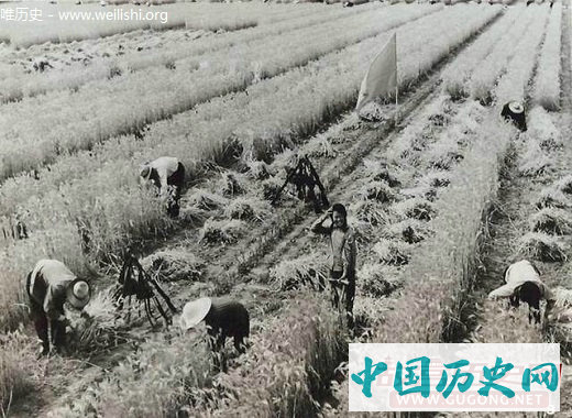 老照片：全民皆兵的年代