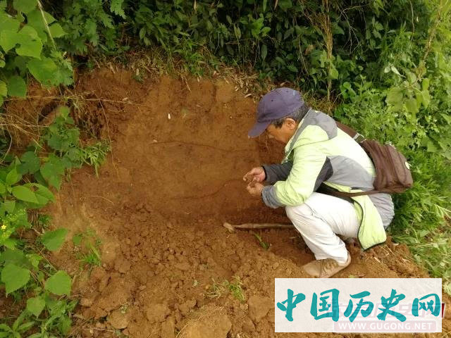 湖南华容七星墩遗址2018年考古调查勘探简介