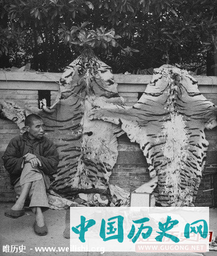 老照片：1946年上海的中药铺