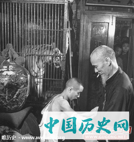 老照片：1946年上海的中药铺