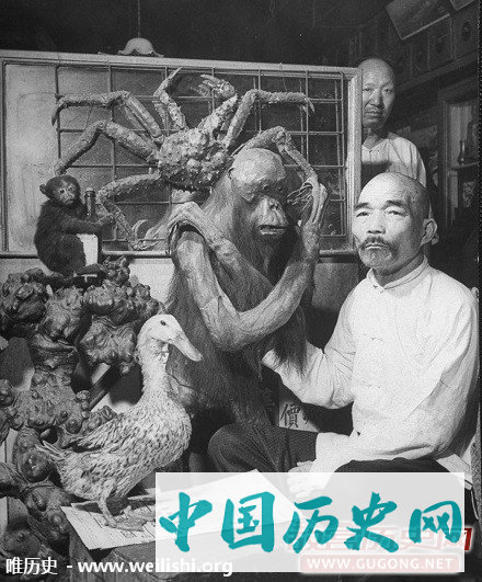 老照片：1946年上海的中药铺
