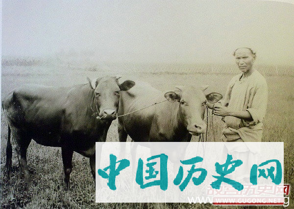 清朝老照片：晚清农村地里的农家活