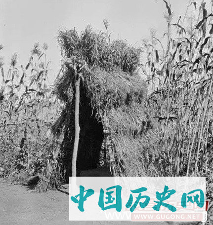 清朝老照片：晚清农村地里的农家活