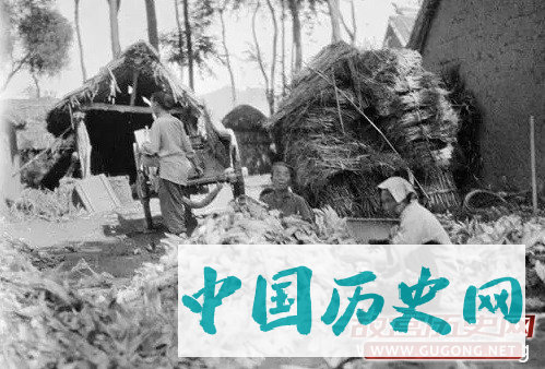 清朝老照片：晚清农村地里的农家活