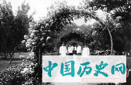 老照片揭秘真实的“金陵十三钗”