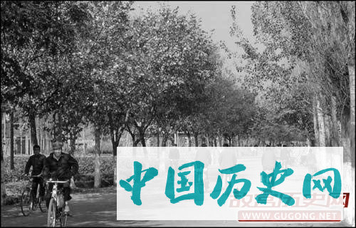 80年代老照片：1980年代的罕见旧照