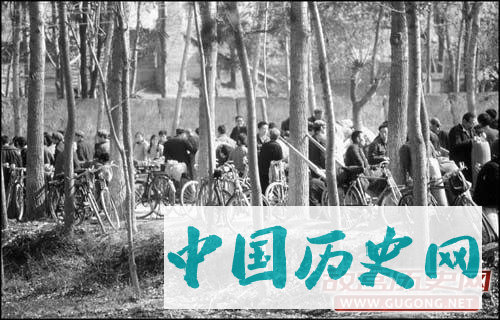 80年代老照片：1980年代的罕见旧照
