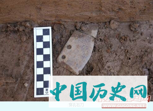 金沙江流域又一新石器时代遗存——武定以鸡嘎遗址