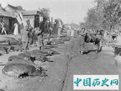 直击清朝老北京“猪市口”