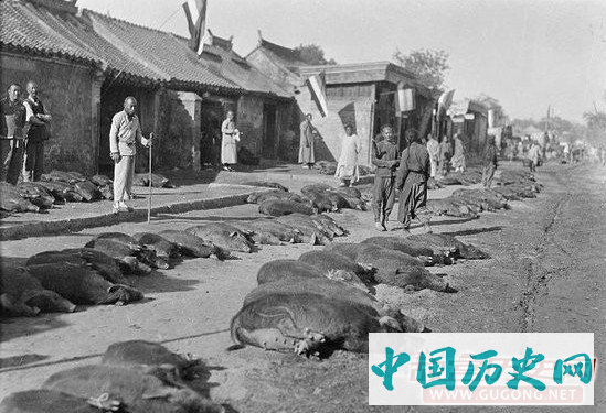 直击清朝老北京“猪市口”
