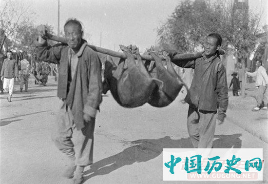 直击清朝老北京“猪市口”