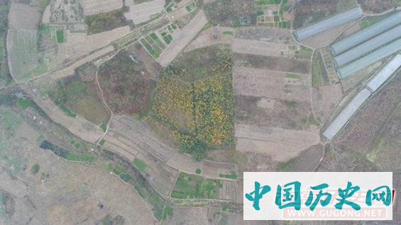 考古数字化记录系统支持下的肥东刘小郢遗址发掘