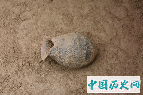 云南武定长田遗址