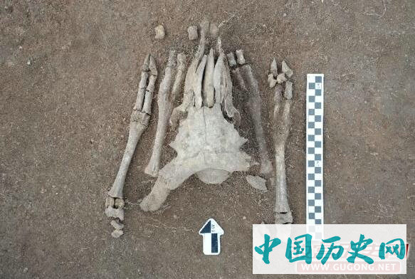 中蒙联合考古队发现疑似匈奴统治中心遗址