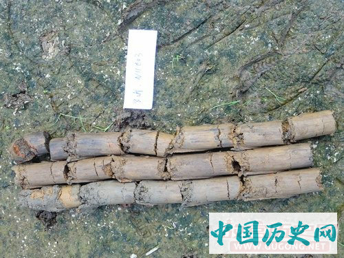 湖南罗城遗址城外新发现一处东周遗址
