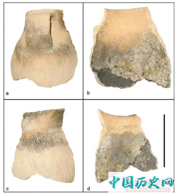 中国已知最早的桦树皮焦油利用证据