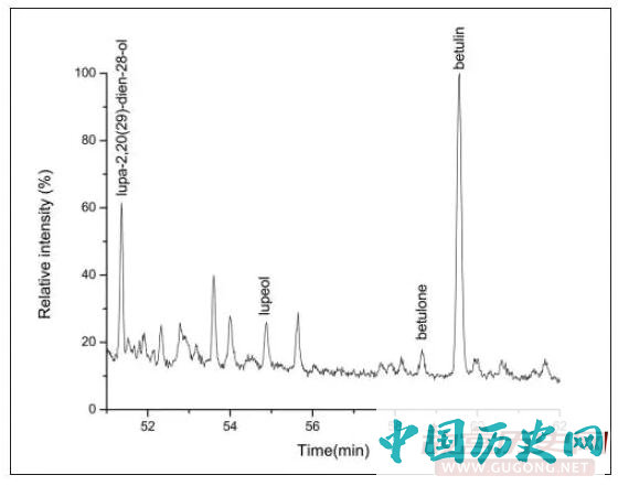 中国已知最早的桦树皮焦油利用证据