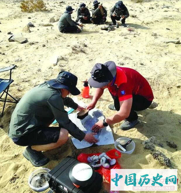 特写：红海边的沙漠考古