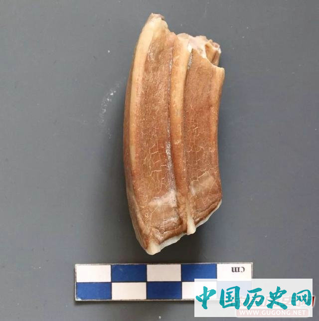 山西大同李汪涧发现现代人类起源遗址
