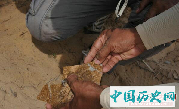 上海博物馆考古队在阿莱皮蒂遗址发现中国瓷器