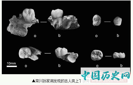 解开栾川“古老儿童”化石密码
